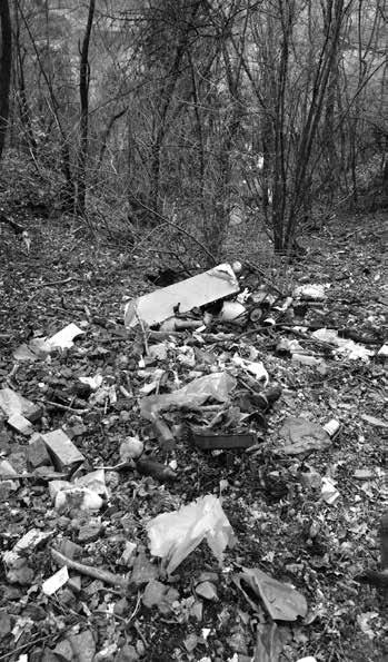 Diakonie Broumov je neziskovou organizací, která poskytuje sociální služby pro občany z kraje společnosti materiální pomoc sociálně potřebným, azylové ubytování i pracovní příležitost.