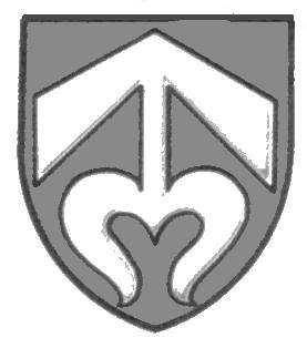 Benešovici 124 let 1269-1293 Tobiáš z Bechyně (pražský biskup 1278-1296) 1293-1307 Dobeš z Bechyně st.