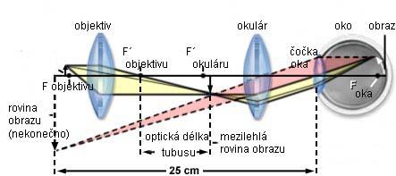 20 optická soustava mikroskopu a tvorba obrazu (zjednodušeno) 25 cm je konvenční pozorovací vzdálenost, pro mikroskop je to prakticky nekonečno Nekonečná optika mikroskopu (Nikon CFI60) Zlepšení