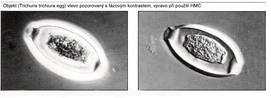 49 odklánějí a procházejí mimo transparentní sektor. o tom, kterým směrem se paprsky odkloní, rozhoduje rozdíl v indexu lomu částí objektu a jeho okolí.