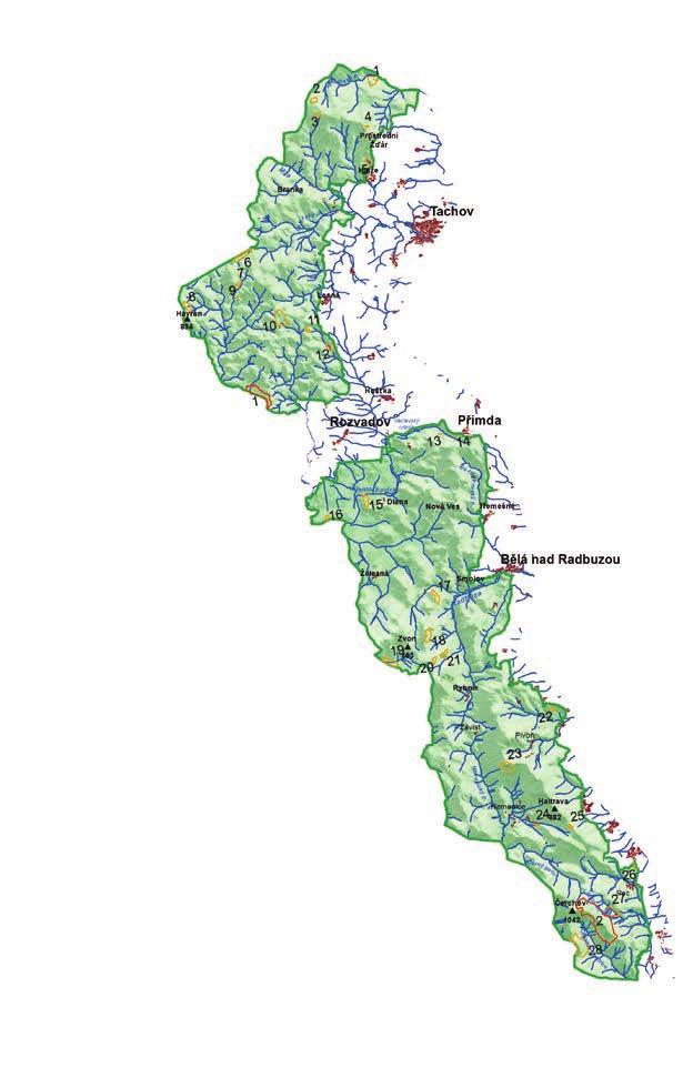 3 Představujeme naše biotopy BOTANICKÉ ZAJÍMAVOSTI ČESKÉHO LESA Víte, že oblast Českého lesa je jedna z nejzalesněnějších v naší zemi?