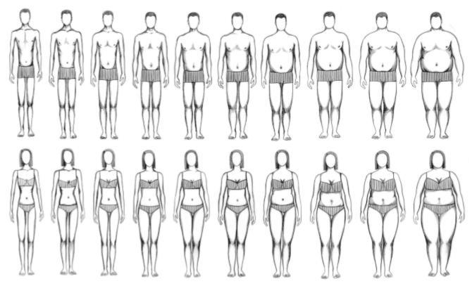 Obrázek 1: Test siluet dle Stunkarda z roku 1983 obsahuje devět mužských a devět ženských siluet seřazených vzestupně dle tělesných proporcí (Stunkard, Sorensen, & Schulsinger, 1983).