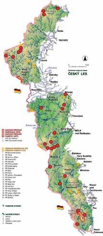 Z PŘÍRODY ČESKÉHO LESA vystavěny na kyselém geologickém podloží.