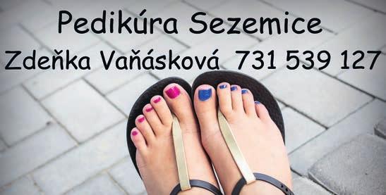 Liduchová, P. Procházková. IČO 274241.