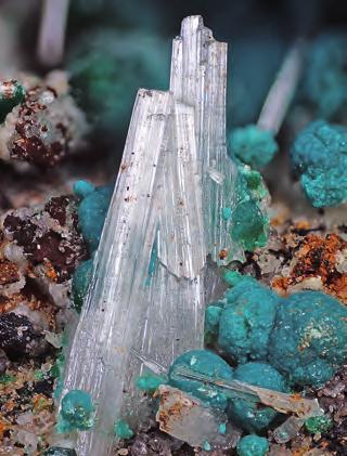 gy (María Florencia Márquez-Zavalía a Miguel Ángel Galliski) byly úspěšně realizovány terénní práce na světově unikátních lokalitách selenidové mineralizace v provincii La Rioja Tumiñico, El Chire a