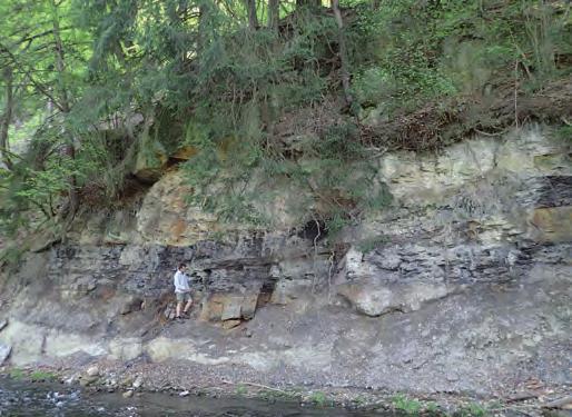 ké svrchní křídy. Celkem bylo preparováno 205 a konzervováno 1150 sbírkových předmětů. Paleontologická podsbírka patří mezi intenzivně studované sbírkové fondy.