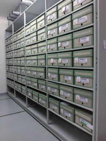Obr. 41. Finální uložení materiálu z československého herbáře do herbářových krabic a kompaktorového systému. Foto: O. Šída. Obr. 42. Finální uložení kusové sbírky do zásuvek. Foto: O. Šída. Společnosti Národního muzea do rukou československého státu.
