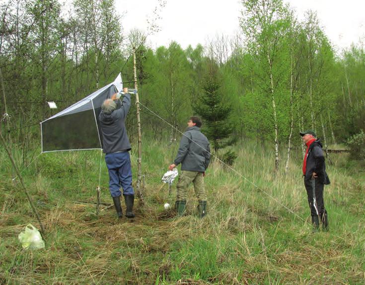 Obr. 58. Pracovníci entomologického oddělení instalují nárazovou past pro celosezónní sledování létajícího hmyzu na Podkrušnohorské výsypce u Sokolova. Foto: P. Chvojka.