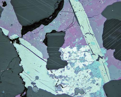 Kulovité agregáty uraninitu místy s bílými inkluzemi clausthalitu obrůstané umangitem (růžově fialové anizotropní uranium district (Czech agregáty), Zálesí v Rychlebských horách; šířka obrázku 700