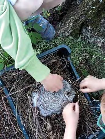 Pohádkově strávené odpoledne pobavilo a potěšilo nejen ty nejmenší. Všem, kteří se zúčastnili, děkujeme. Těšíme se na Vás příště, třeba zase za rok.