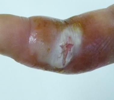 Dostupné na: http://www.medicool.cz/reference/ustredni-vojenska-nemocnice-v-praze.html.