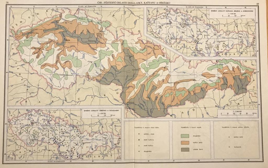 Pěstební oblasti douglasky, kaštanu a ořešáku. Původní mapa, ČERMÁK et al.
