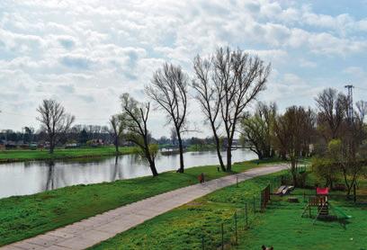Na hladině plavou kachny a uvidíme i další říční ptactvo. Také pod hladinou je asi živo. Jinak by tu nesedělo tolik rybářů. Na druhém břehu řeky zahlédneme zámek Lobkovice.