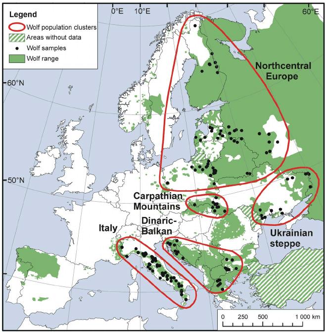 Obr. 5 - Mapa Evropy znázorňující výskyt vlka 13 10.1.4 Statut ochrany Ve vyhlášce MŽP č. 395/1992, kterou se provádějí některá ustanovení zákona České národní rady č. 114/1992 Sb.