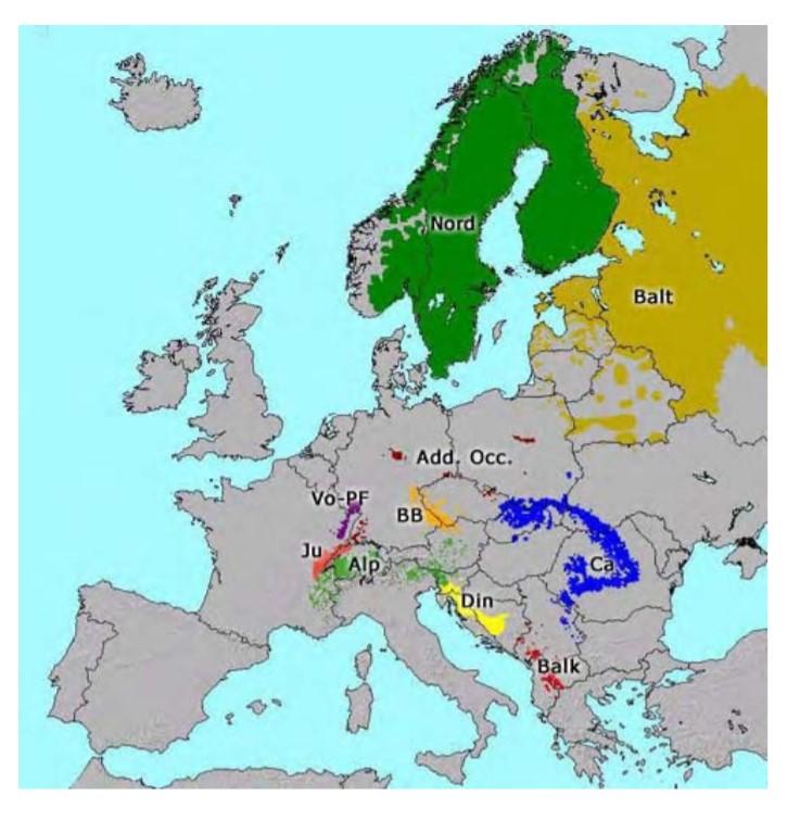 10.3.3 Výskyt v Evropě Celkový odhad velikosti populace rysa ostrovida v Evropě (kromě Ruska odkud nejsou dostupné údaje) činí přibližně 7 500 jedinců (Stýblo, 2002). Obr.