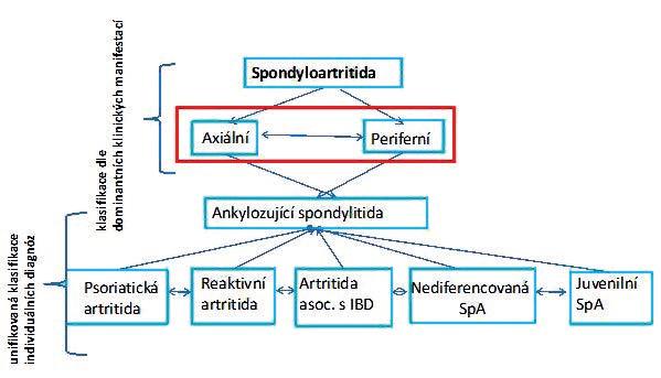 REVIEW rovná se diagnóza axspa. HLA-B27 pozitivita je genetickým faktorem, který predisponuje k rozvoji onemocnění ze skupiny SpA.