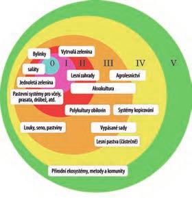 Polykultury podle typu a měřítka. Tento diagram nevypovídá o míře složitosti polykultur, ale přibližně se dá říci, že polykultury jsou nejkomplexnější na středně velkých pozemcích.