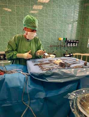 Každý den řešíme akutní operace typu žlučníky, slepé střevo, gynekologické operace a pochopitelně úrazy. Chirurgii a traumatologii nic nezastaví.