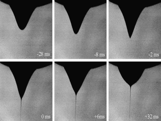 5 Zvlákňovací vaničky Zvlákňovací zařízení je opatřeno základní polypropylenovou vaničkou, která plní funkci zásobníku polymeru a je současně nosným rámem pro rotační elektrodu.