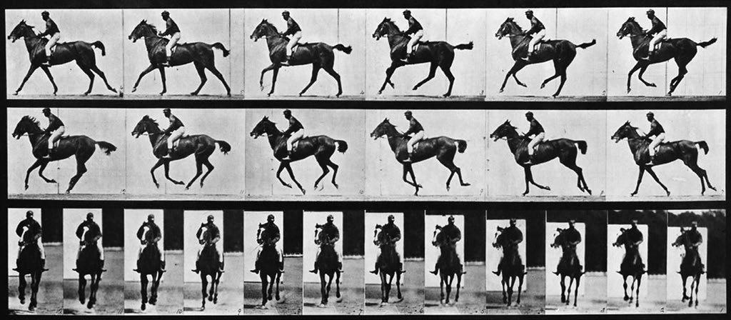 ÚVOD V roce 1873 se o pohyb zvířat začal zajímat otec kinematografie Eadweard Muybridge. Bohatý chovatel koní Leland Stanford ve stejném roce uzavřel sázku o 25 000 USD.