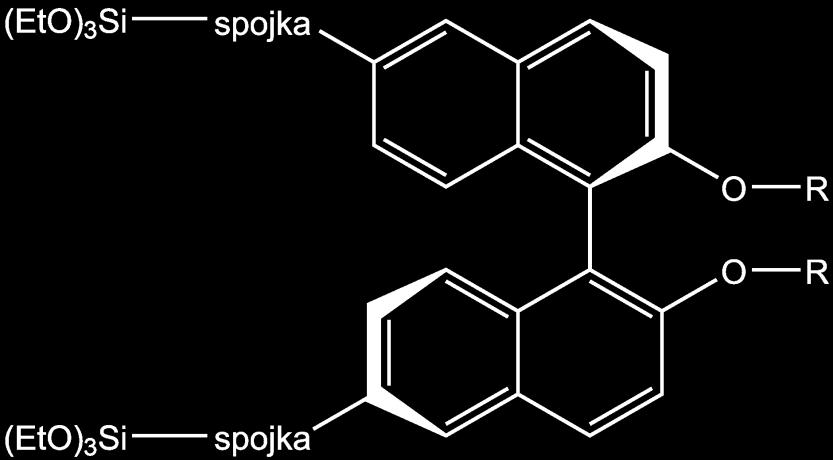 Syntéza 6,6'-difunkcionalizovaných derivátů 1,1'- binaftalen-2,2'-diolu Bc. Arina Bolshova (M2) Školitel: doc. Dr. Ing.