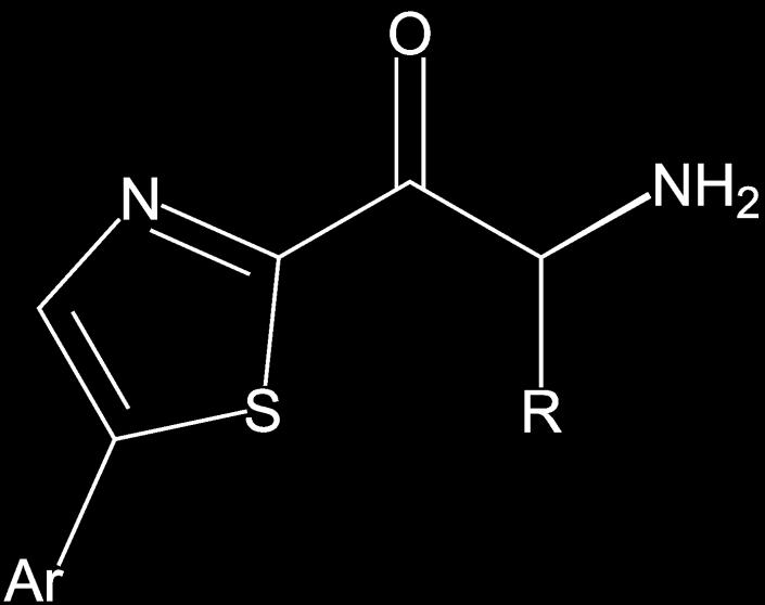 Syntéza thiazolových derivátů α-aminoketonu jako potenciálních inhibitorů KAT II Bc. Lucie Svobodová (M2) Školitel: Ing. Radek Jurok, Ph.D.