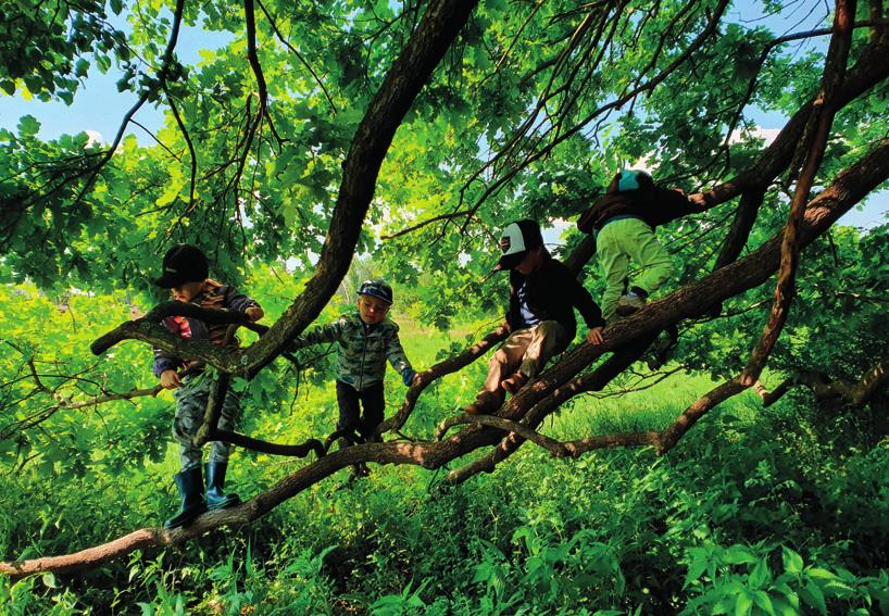 V letním období upřednostňujeme nesladké potraviny i pití, protože dělit se s vosami o svačinu není nic příjemného. A nemůže se dětem něco stát?