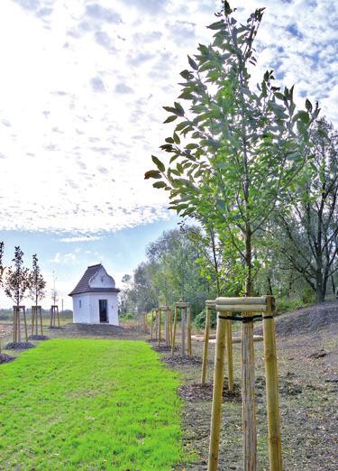 ČÍSLO 18 / 2018 ŽIVOT V BOHUMÍNĚ AKTUALITY 3 Do přírody přes potok nebo pod silnicí Seznam přemostění v Bohumíně má další přírůstek.