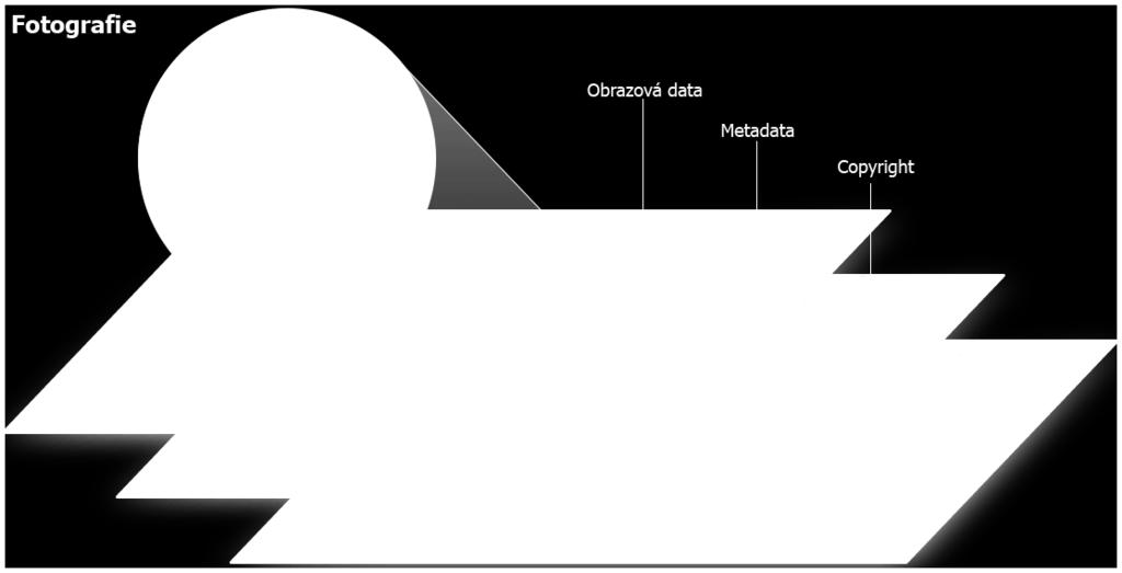 Na rozdíl od metadat Exif, které se týkaly především nastavení, výrobce a modelu fotoaparátu, kterým jsou také vkládány, se metadata Iptc týkají především autora fotografie a samotného obsahu