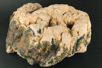 velikost vzorku 20 cm. Foto Š. Koníčková. Fig. 5.