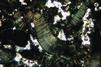 the narrow rim forms moganite, followed by fibrous chalcedony and quartz