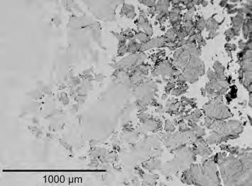 titů (např. NĚMEC 1937, MEDARIS et al. 2005). Chlority Minerály ze skupiny chloritů byly zastiženy ve většině analyzovaných plazem v podobě protáhlých zelených šupinek velikosti <0,5 mm (obr.