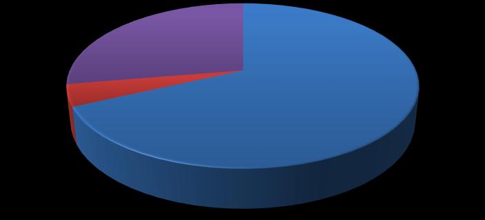 Průměrná roční útrata za jedno auto (bez PHM) 38% 13% 15% 34% Do 5 000 Kč 5 001-10 000 Kč 10 001-15 000 Kč Více než 15 000 Kč Graf 11 - Průměrná roční útrata za automobil (bez PHM) Zdroj: vlastní