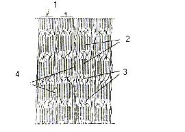 Základním útvarem stabilizovaného vlákna je vřetenovitý útvar o délce l=1µm, tloušťce d=10nm, nazývaný mikrofibrila.