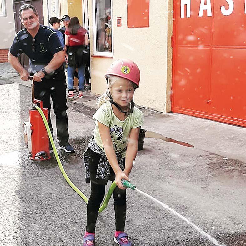 Členové organizace tak zařadili mezi obvyklé exponáty přes 300 zástupců z této kategorie, mezi nimi například kolekce bazalek, máty, saturejek, šalvějí a dalších šlechtěných druhů a odrůd bylinek