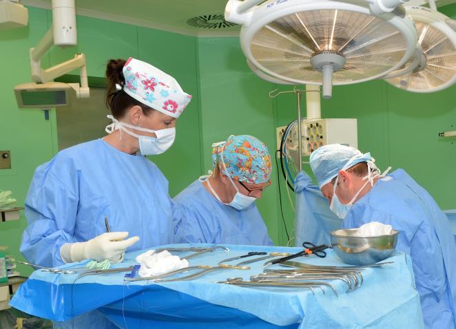 Po té, co byla v roce 2018 převedena agenda pracovnělékařských služeb na Kliniku pracovního lékařství, soustředili jsme se v roce 2019 zejména na léčebně preventivní péči.