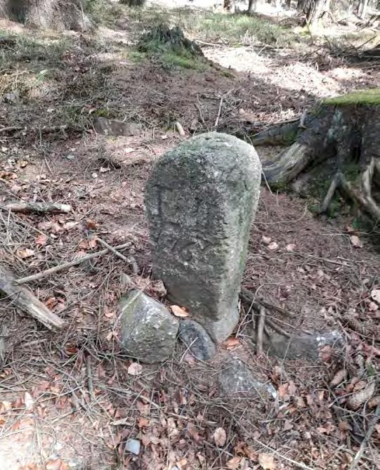 10 OBECNICKÝ ZPRAVODAJ / Červen 2021 POVÍDÁNÍ O STUDÁNKÁCH 12.