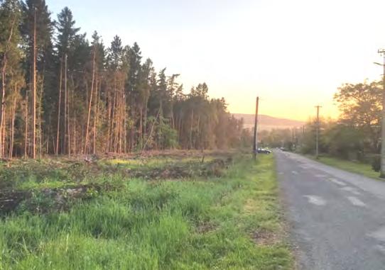 Dále občané, kteří mají v pasece složené dříví nebo případně (nezákonně) jiný materiál, aby jej z paseky odklidili. Objevily se zde např. pneumatiky.