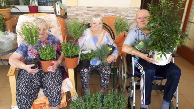 Velká výhoda floramobilu spočívá v tom, že ho mohou využívat i senioři, kteří jsou upoutáni na lůžko.