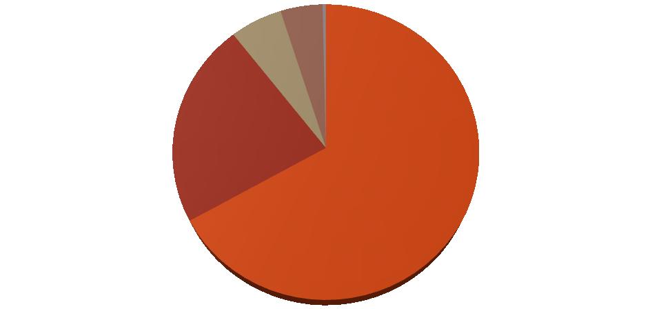 Všem uživatelům jsou k dispozici 2 notebooky s připojením na internet, umístěné ve společenské místnosti, a další notebooky a počítače jsou k dispozici na každém patře v sesternách.