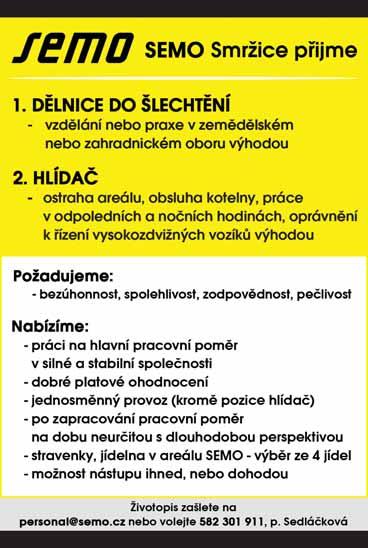 CZ nabídka pracovních míst HLEDÁTE PRÁCI?