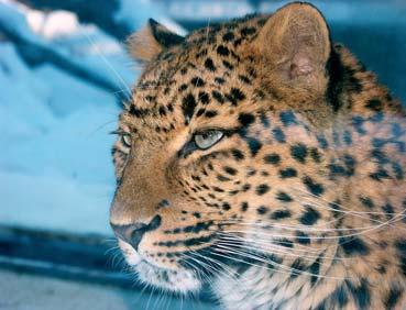 52 Výstavba, údržba a rozvoj 53 Návštěvnost ZOO Liberec