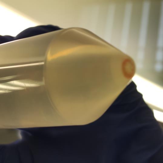 Zkumavky byly následně opatrně přemístěny do laminárního boxu, pomocí pasteurky byl odebrán vzniklý prstenec a přendán do nové zkumavky o objemu 50 ml a byl přidán fosfátový pufr do výsledného objemu
