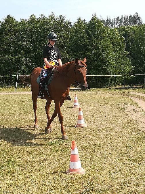 se musí vytáhnout co nejvíce nad sebe), trhání borůvek (při tomto cviku se musí natahovat ruce ke kotníkům), sahání na uši koně nebo kořen ocasu a další.