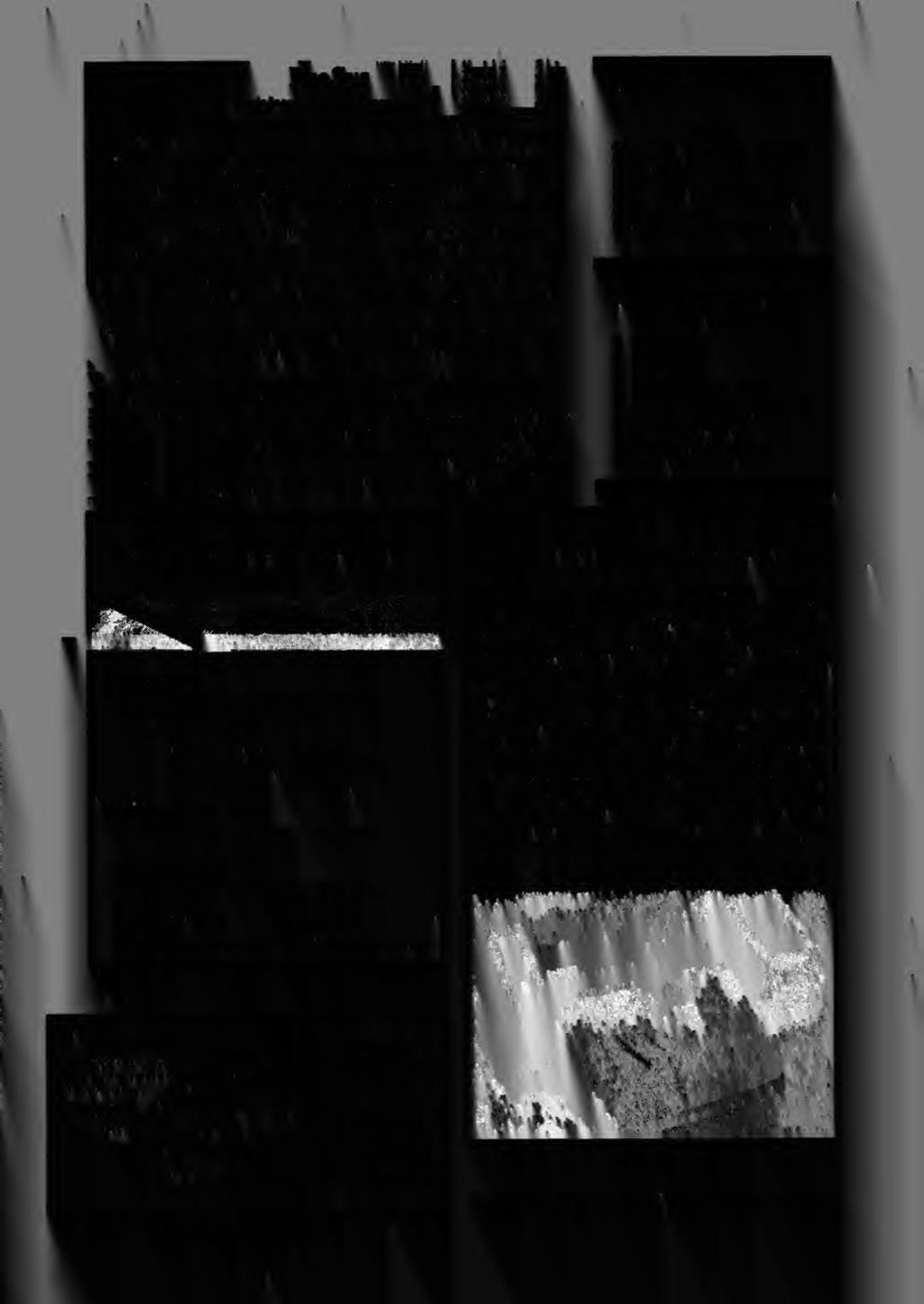 ) ) l.