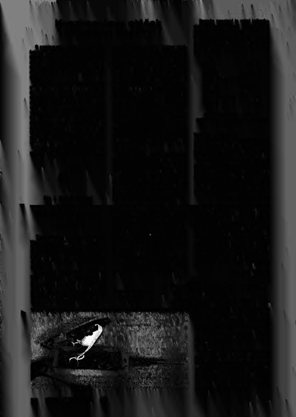 / -i v.. * '.