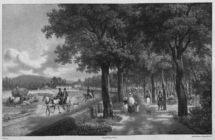 Adam, Isidore-Laurent Deroy, litografie. ÖStA, KAR0501627. Fig. 5. Promenade in front of the St. Gallus Gate in Frankfurt am Main, around 1840. A path for riders led along the shady promenade walks.