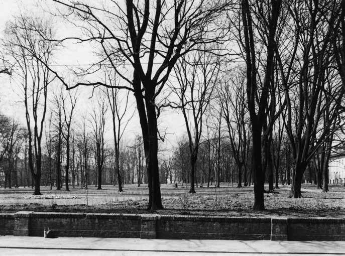 Čechovy sady 1920 2020 Stav parku ve 20. a 30. letech 20. století zachycuje text zahradního architekta Fritze Wenzela z roku 1937, který vyznívá pozitivně.