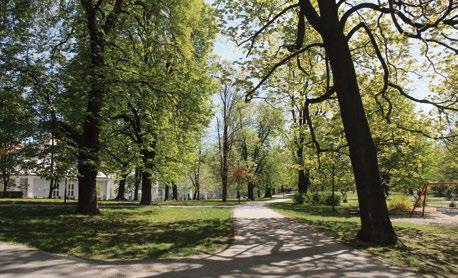 , druhu původem z jižní a jihovýchodní Evropy, který podle knihy rostl v trávníku na pevnostních valech a příkopech, např. u východu z Jánského stromořadí za litovelským výpadem.