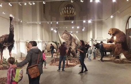 MUZEÁLIA Výstavy připravené oddělením paleontologie Vlastivědného muzea v Olomouci v roce 2019 Exhibitions prepared by the Department of Paleontology of the Regional Museum in Olomouc Tomáš Lehotský